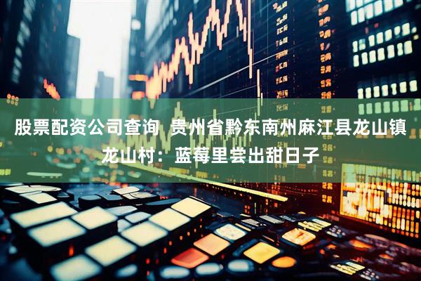 股票配资公司查询  贵州省黔东南州麻江县龙山镇龙山村：蓝莓里尝出甜日子