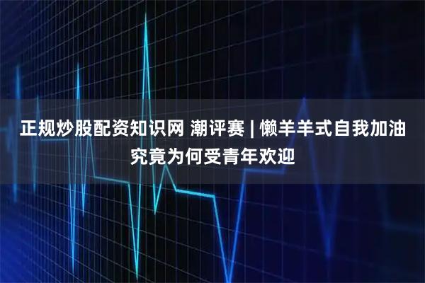 正规炒股配资知识网 潮评赛 | 懒羊羊式自我加油究竟为何受青年欢迎
