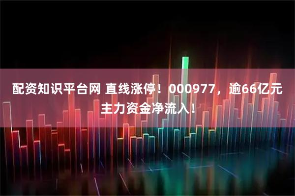 配资知识平台网 直线涨停！000977，逾66亿元主力资金净流入！
